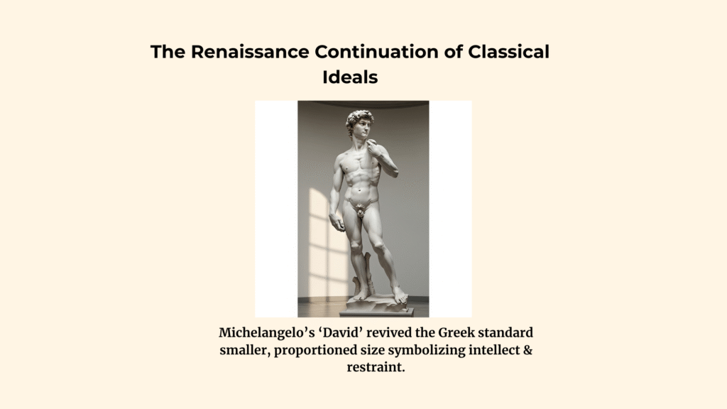 How has the Ideal Penis Size Changed Over Time? 2 The Renaissance Continuation of Classical Ideals