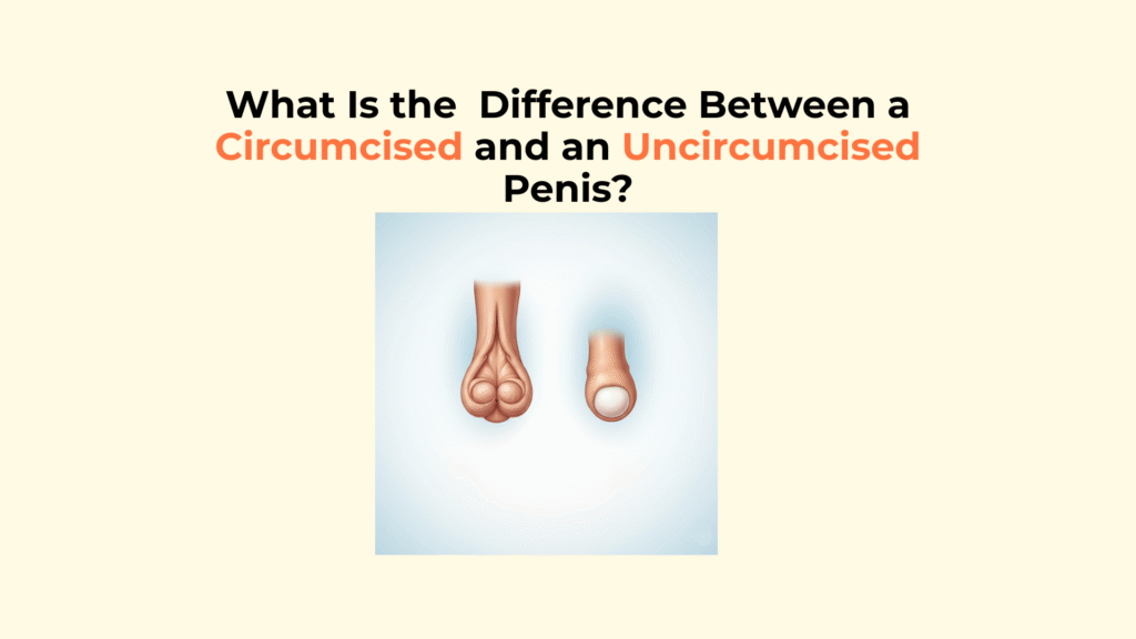 What Is the Difference Between a Circumcised and an Uncircumcised Penis