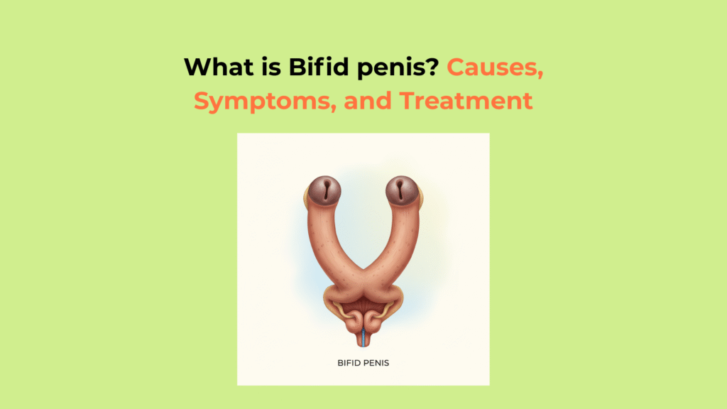 What is Bifid penis Causes Symptoms and Treatment