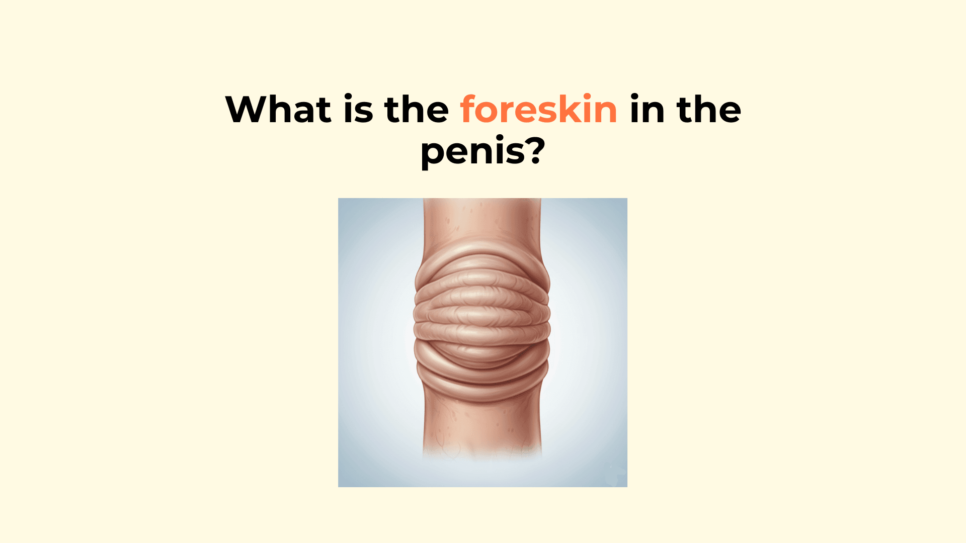 What Is The Foreskin In The Penis what-is-the-foreskin-in-the-penis