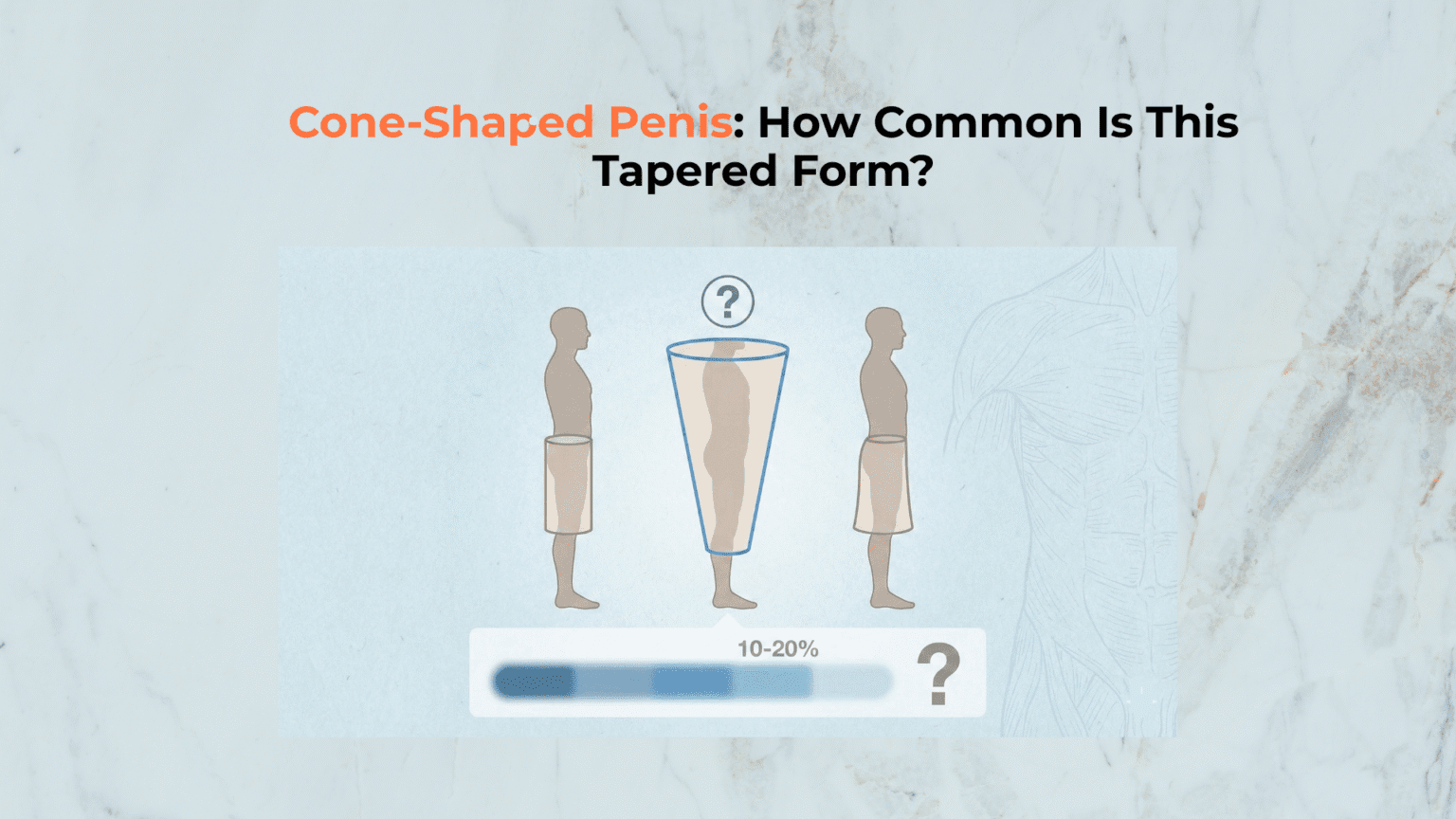Cone-Shaped Penis: How Common Is This Tapered Form?